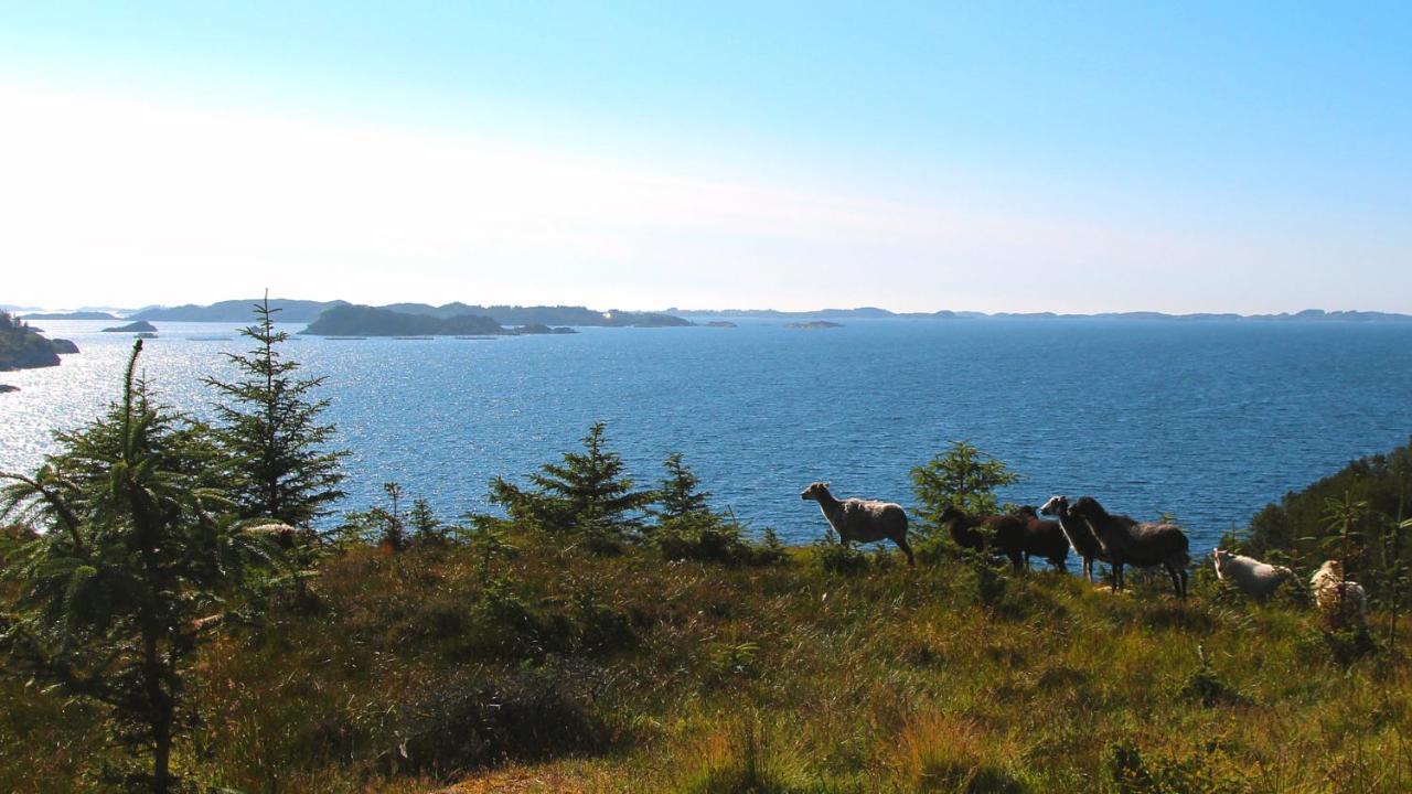 Kobbaneset Hk - Tett Pa Havet - Bekkjarvik Apartment Luaran gambar