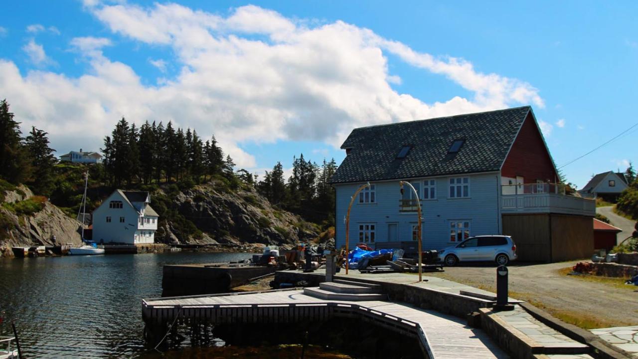 Kobbaneset Hk - Tett Pa Havet - Bekkjarvik Apartment Luaran gambar