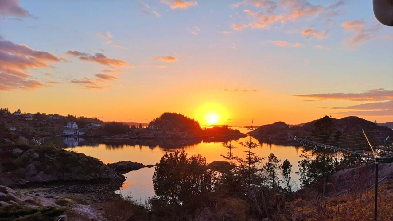 Kobbaneset Hk - Tett Pa Havet - Bekkjarvik Apartment Luaran gambar